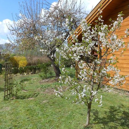 Ferienhaus Hensel Grosszerlang Bagian luar foto